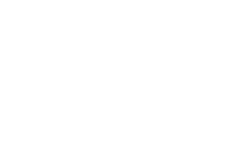 Nous Amigos